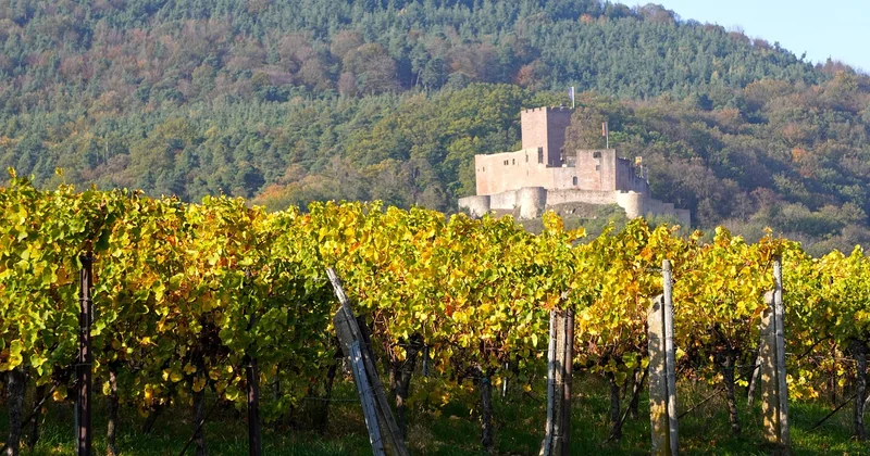 Autour de Suze-la-Rousse : vignes, château et platitude bienvenue