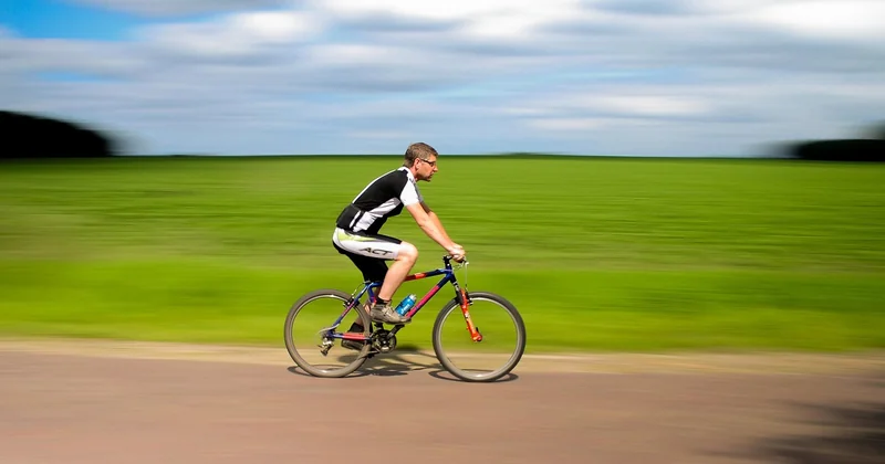 Randonnée et vélo : les deux valeurs sûres du domaine