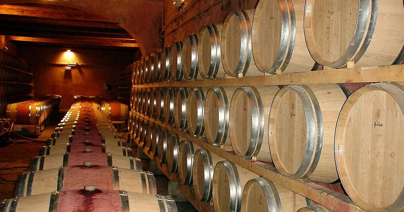 Où déguster du vin en Toscane : les bonnes catégories d'adresses